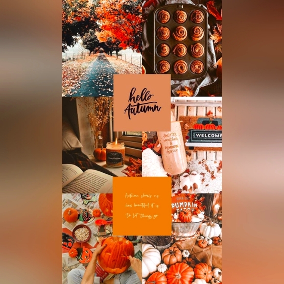 🌿 Meet Me  🌿 - Picture 16 of 16